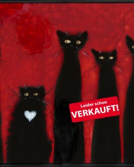 Schwarze Katzenfamilie 6 – Verkauft