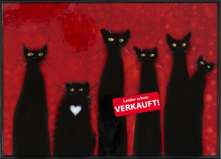 Schwarze Katzenfamilie 6