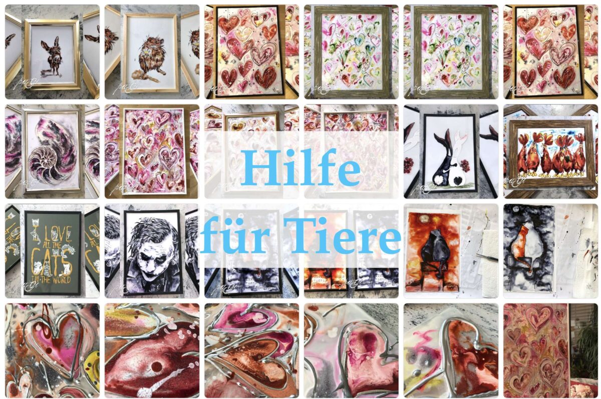 Hilfe für Tiere