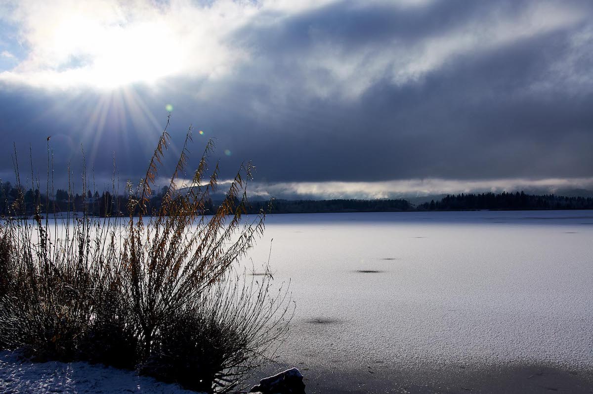 Winterzauber 2010