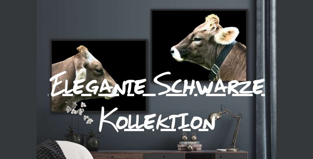 Elegante Schwarze Kollektion