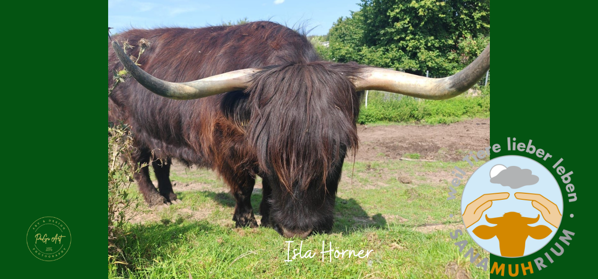 weil Tiere lieber leben e.V.