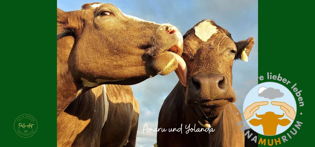 weil Tiere lieber leben e.V.