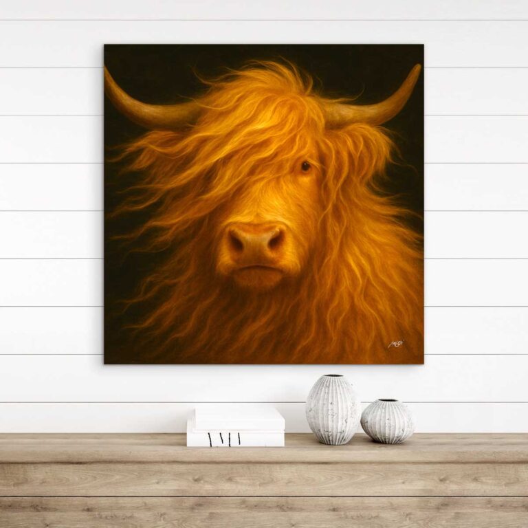 das Hochlandrind 2 LW galeriebild7