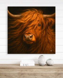 das Hochlandrind 3 LW