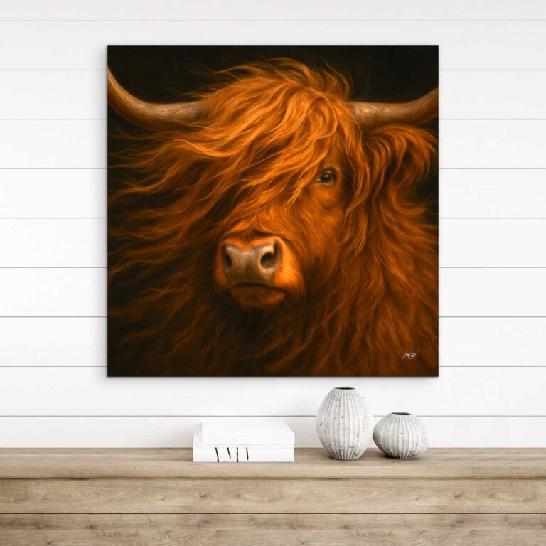 das Hochlandrind 3 LW