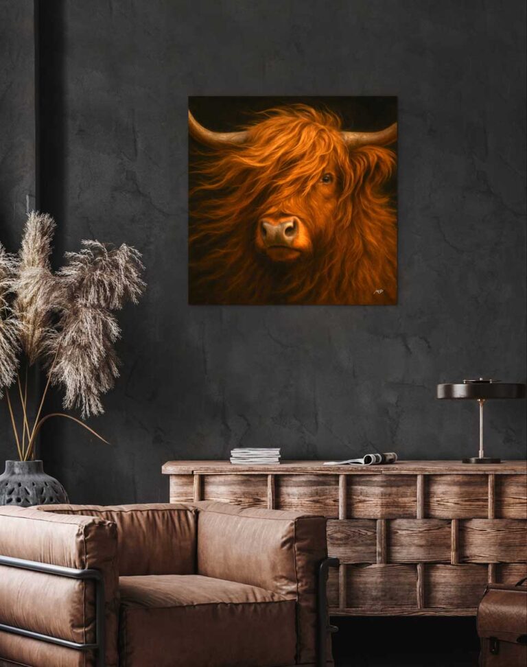 das Hochlandrind 3 LW galeriebild8