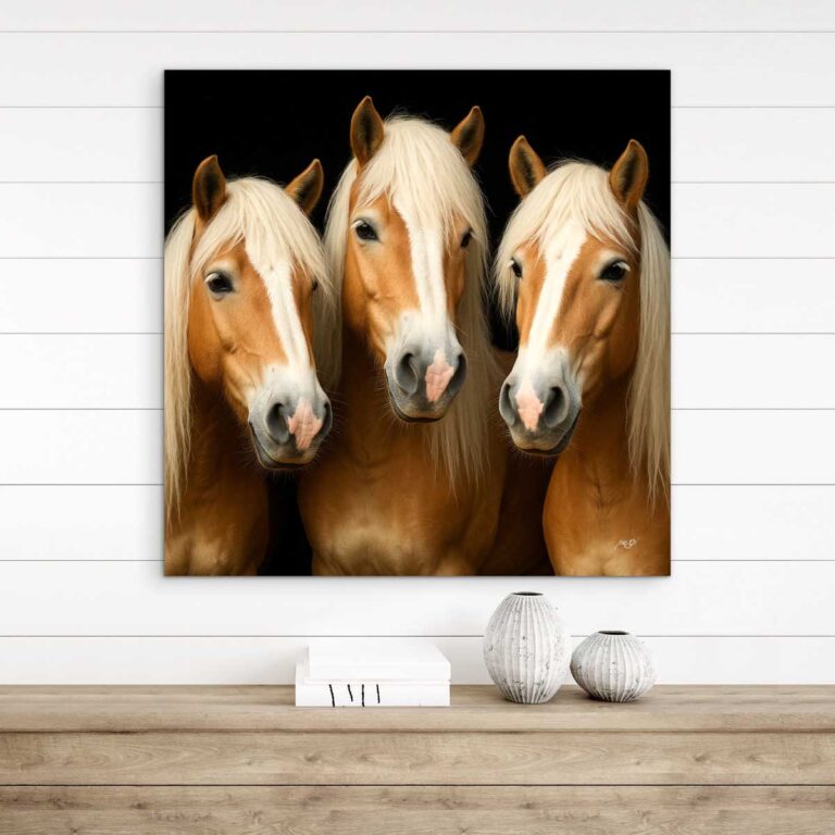 Die Pferde 3 LW galeriebild8