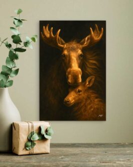 Magie der Stille 1 LW