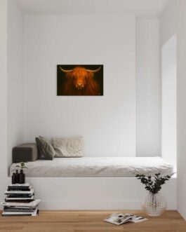 das Hochlandrind 4 LW