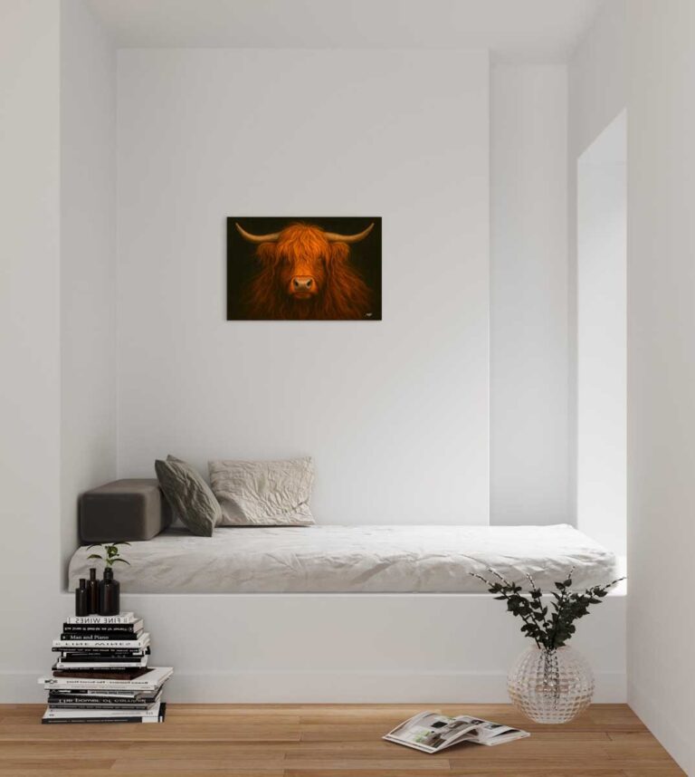 das Hochlandrind 4 LW galeriebild8