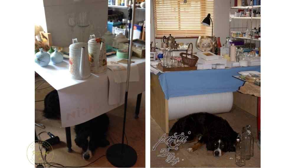 .The Birth of Light – When a Small Detail Speaks