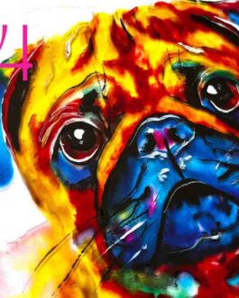 Meine Lieben – 2026